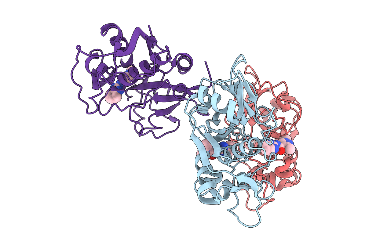 4W5B image
