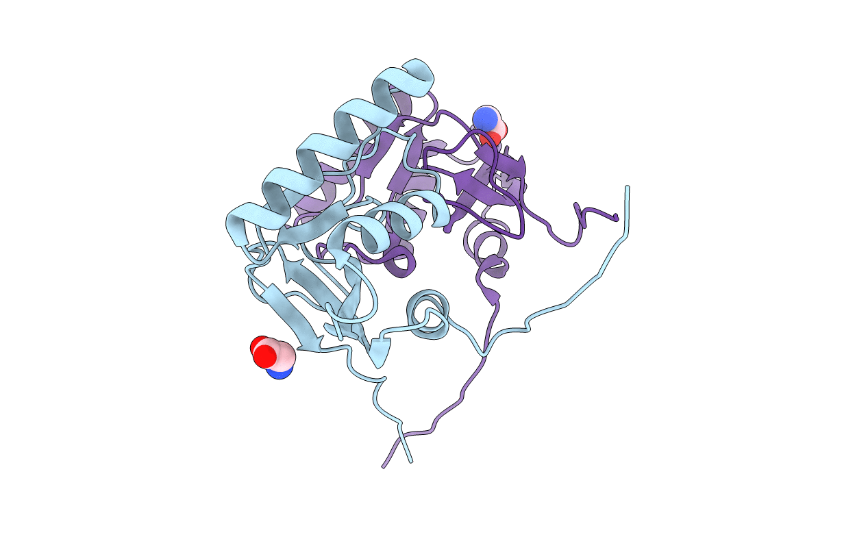 4W8C image