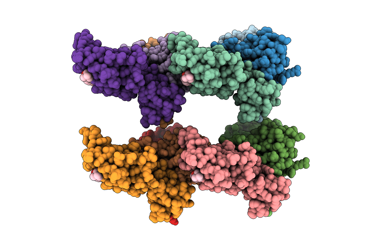 4W9C image