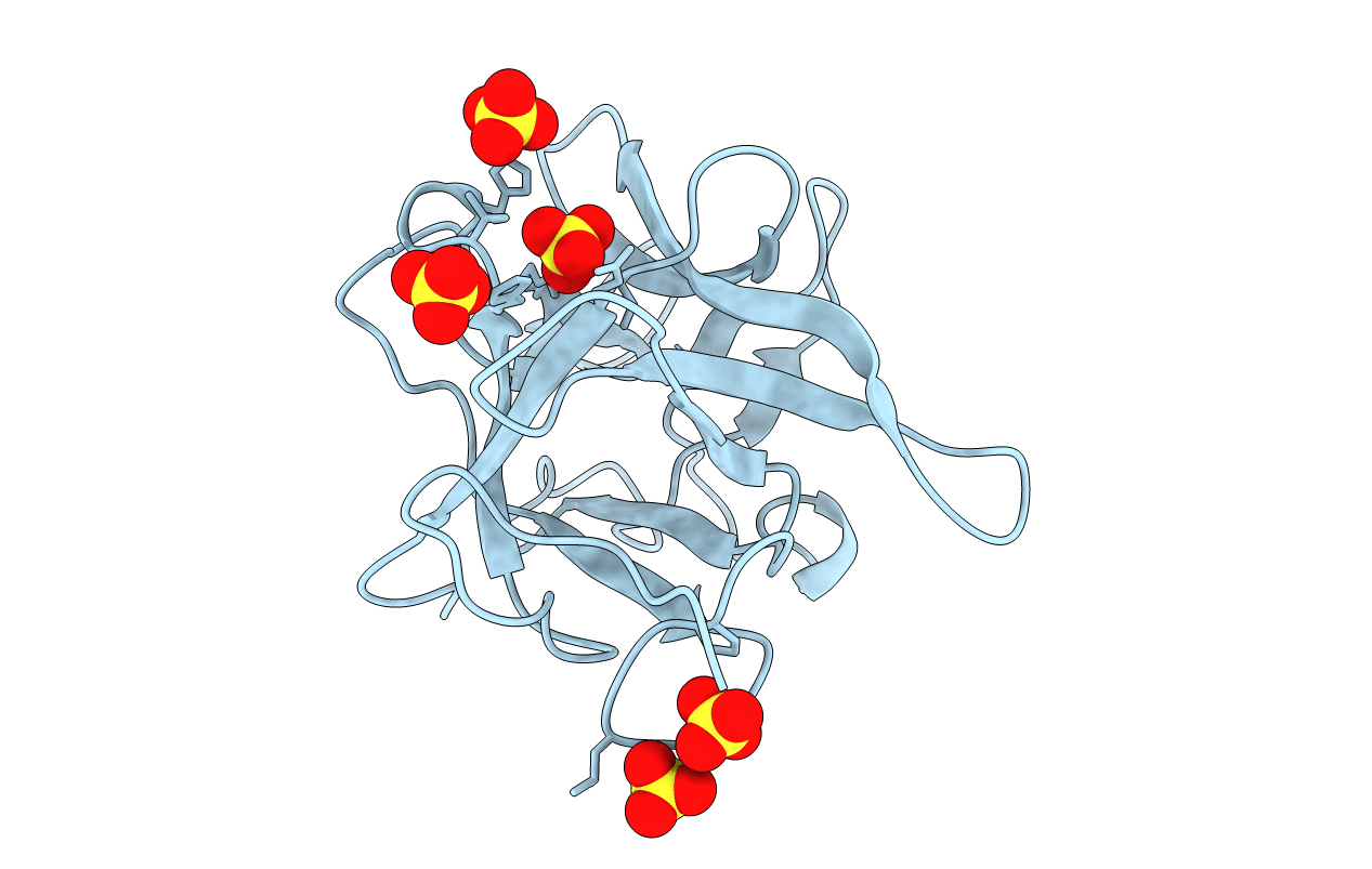 4WBC image
