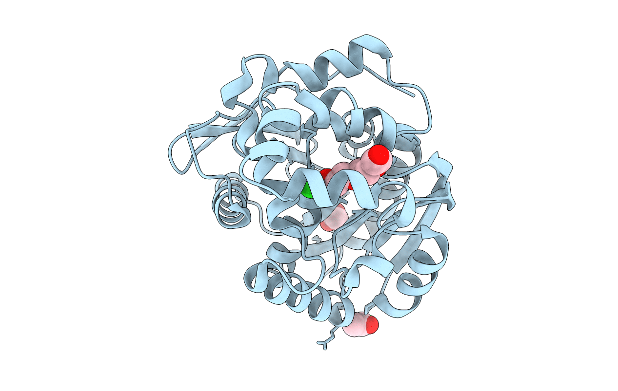 4WCV image