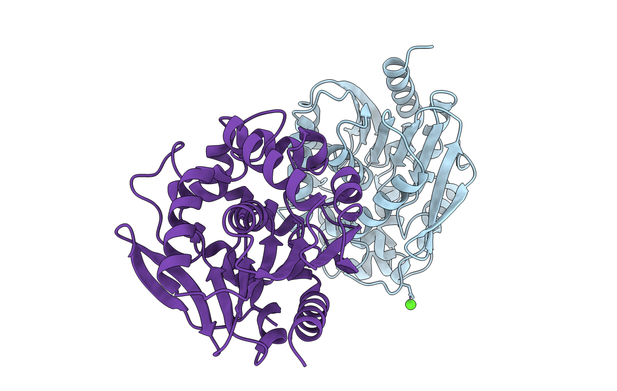 4WDR image