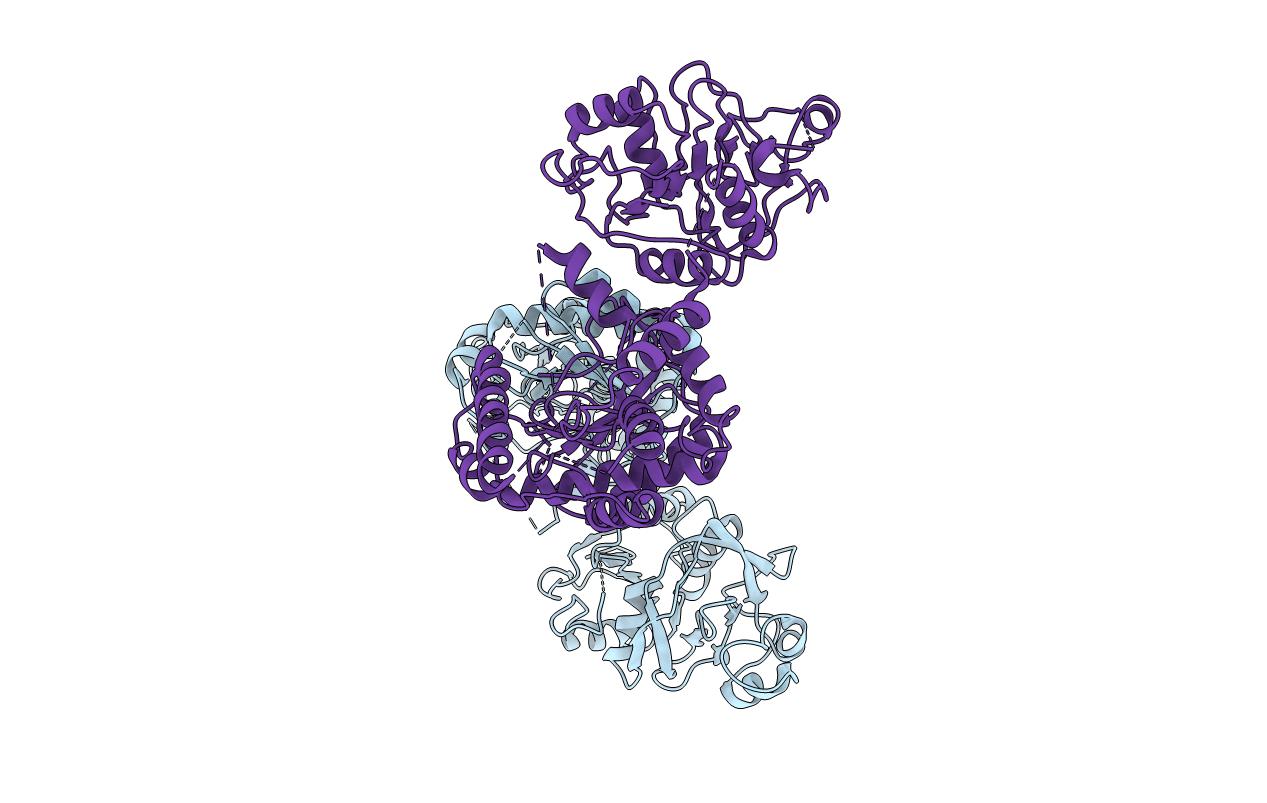 4WIM image