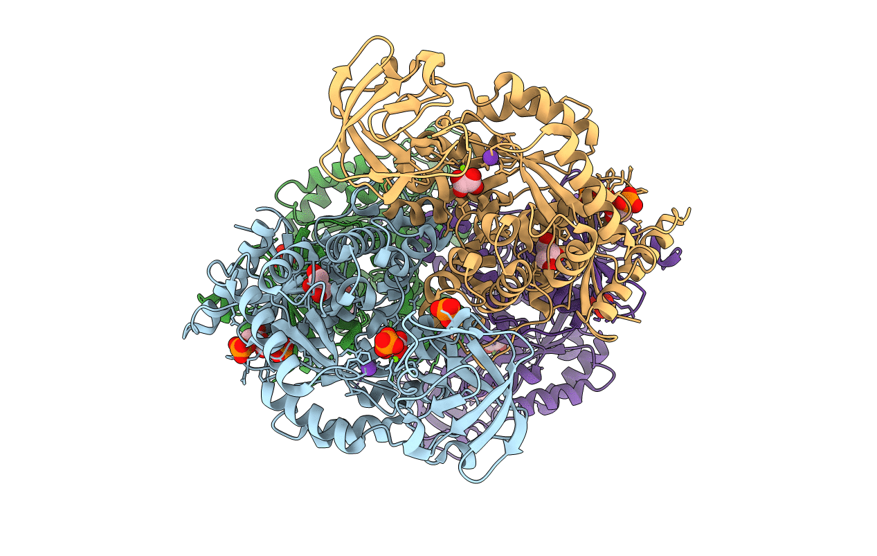 4WJ8 image