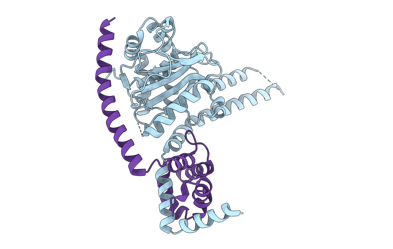 4WLP image