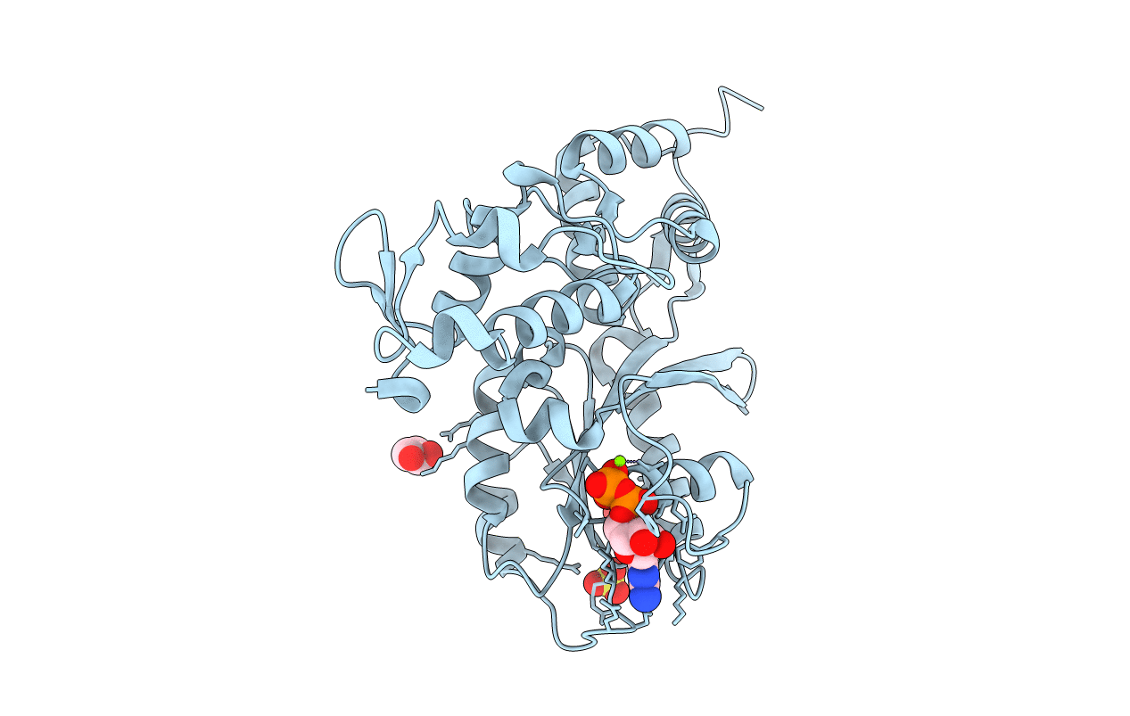 4WNR image