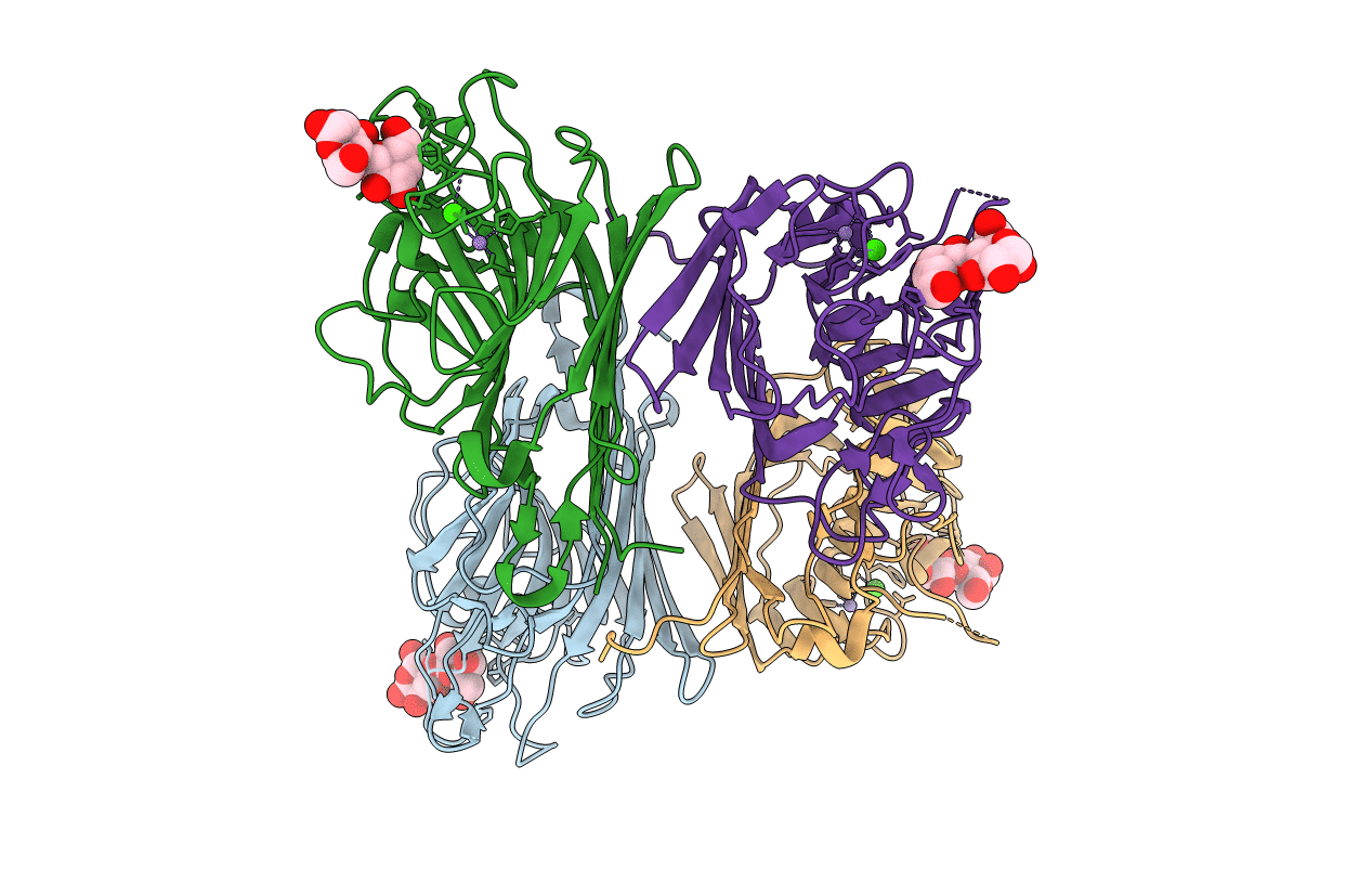 4WV8 image