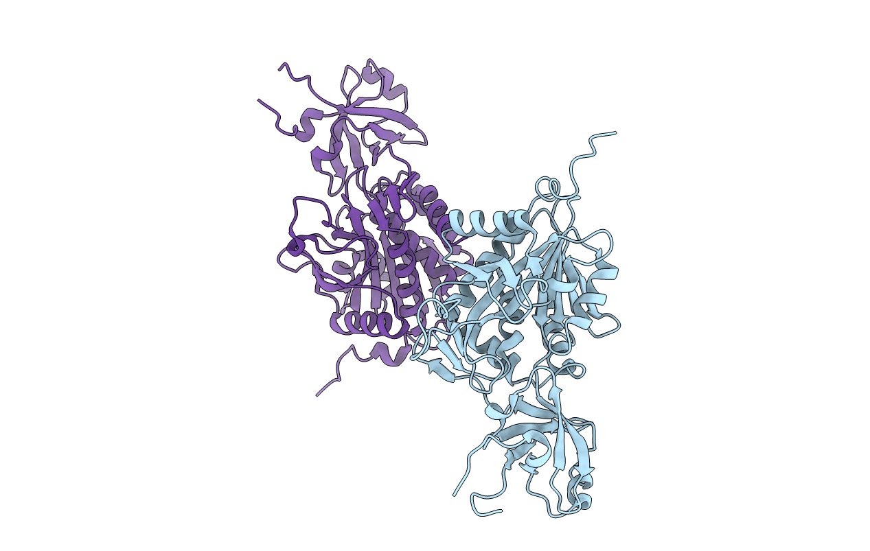 4WWV image