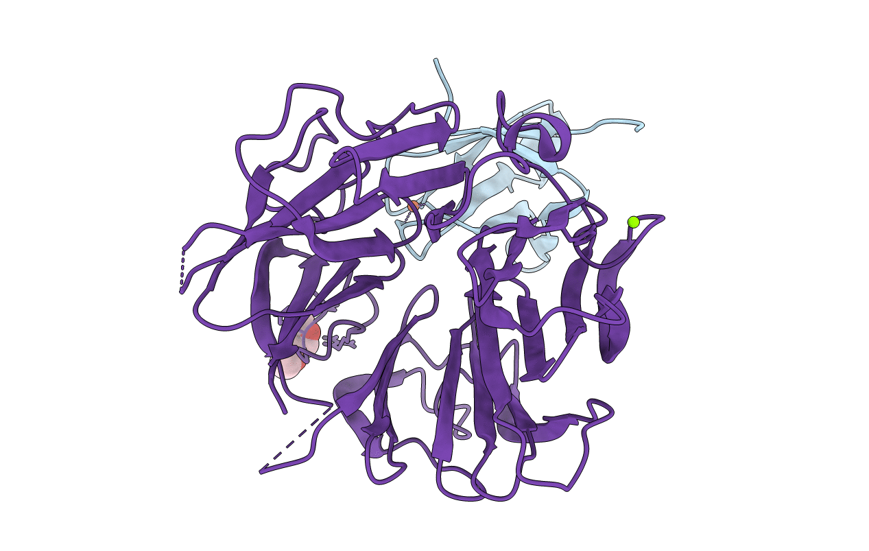 4X33 image