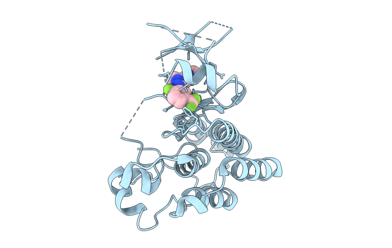 4X3J image
