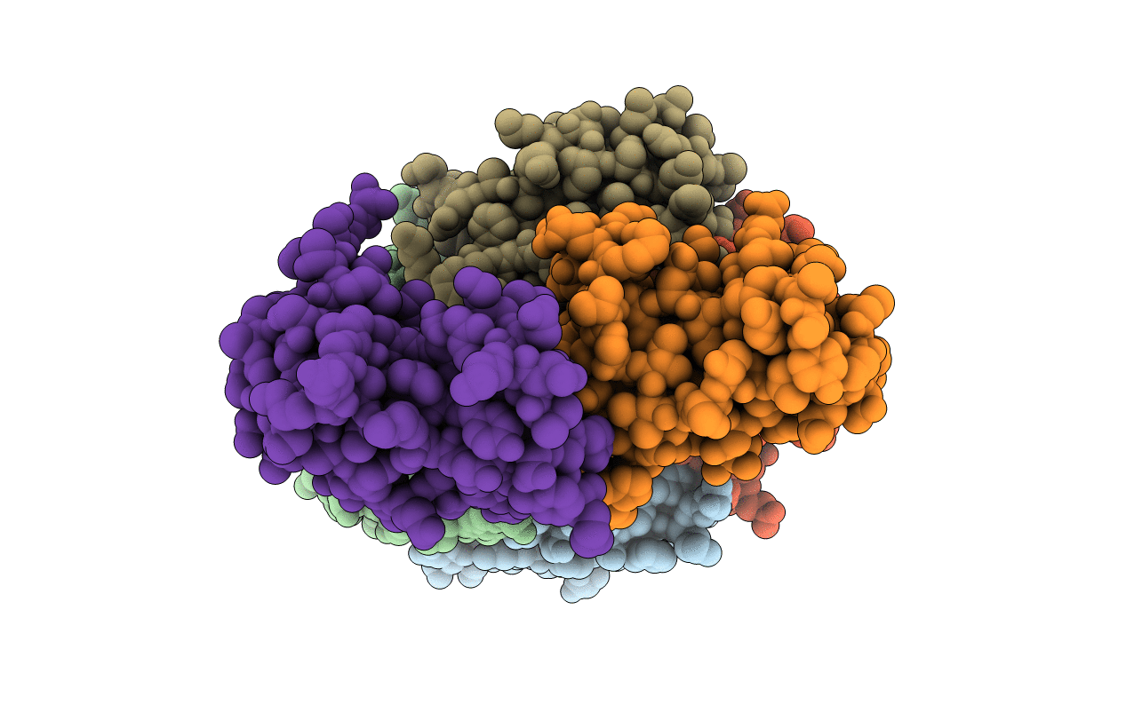 4X42 image