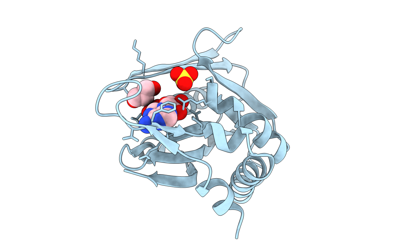 4X44 image