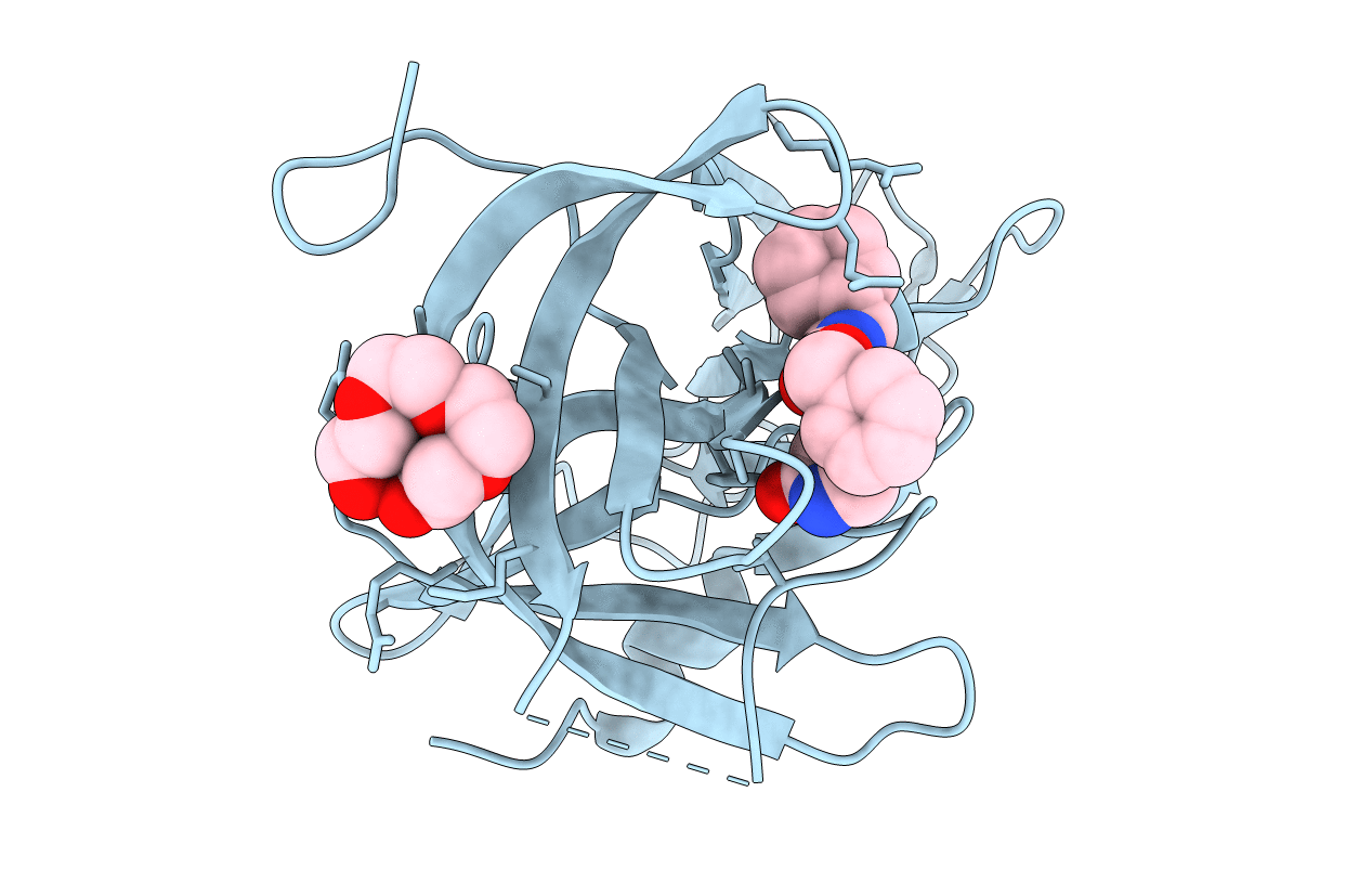 4XBC image