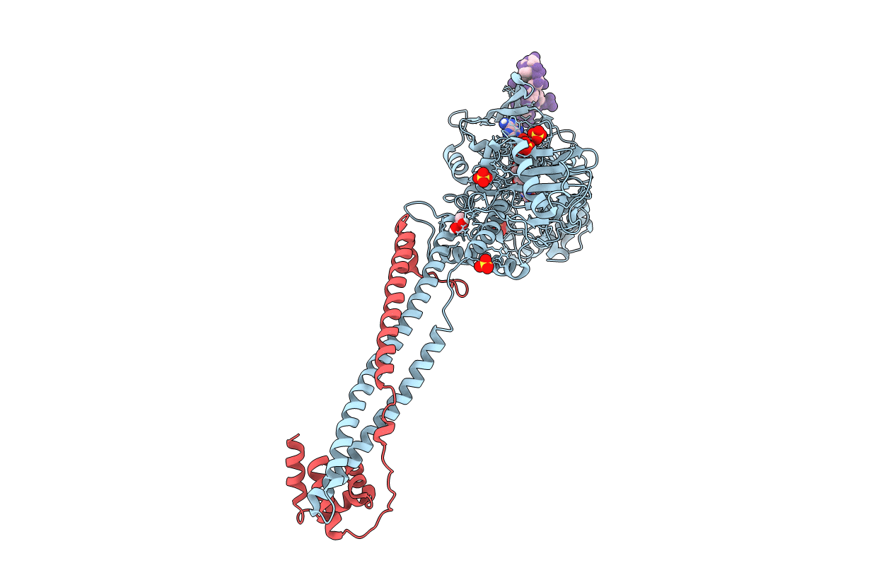 4XBF image