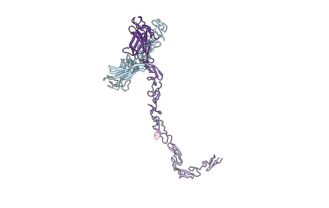 4XBM image