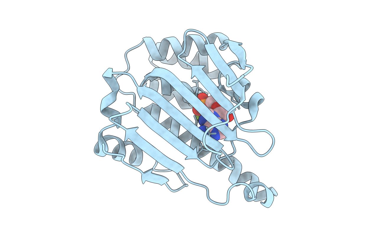 4XCJ image