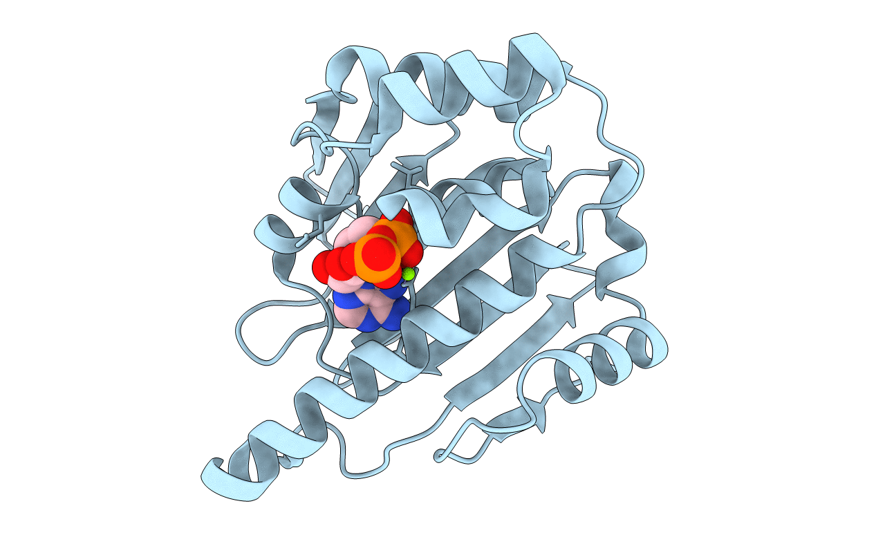 4XCL image