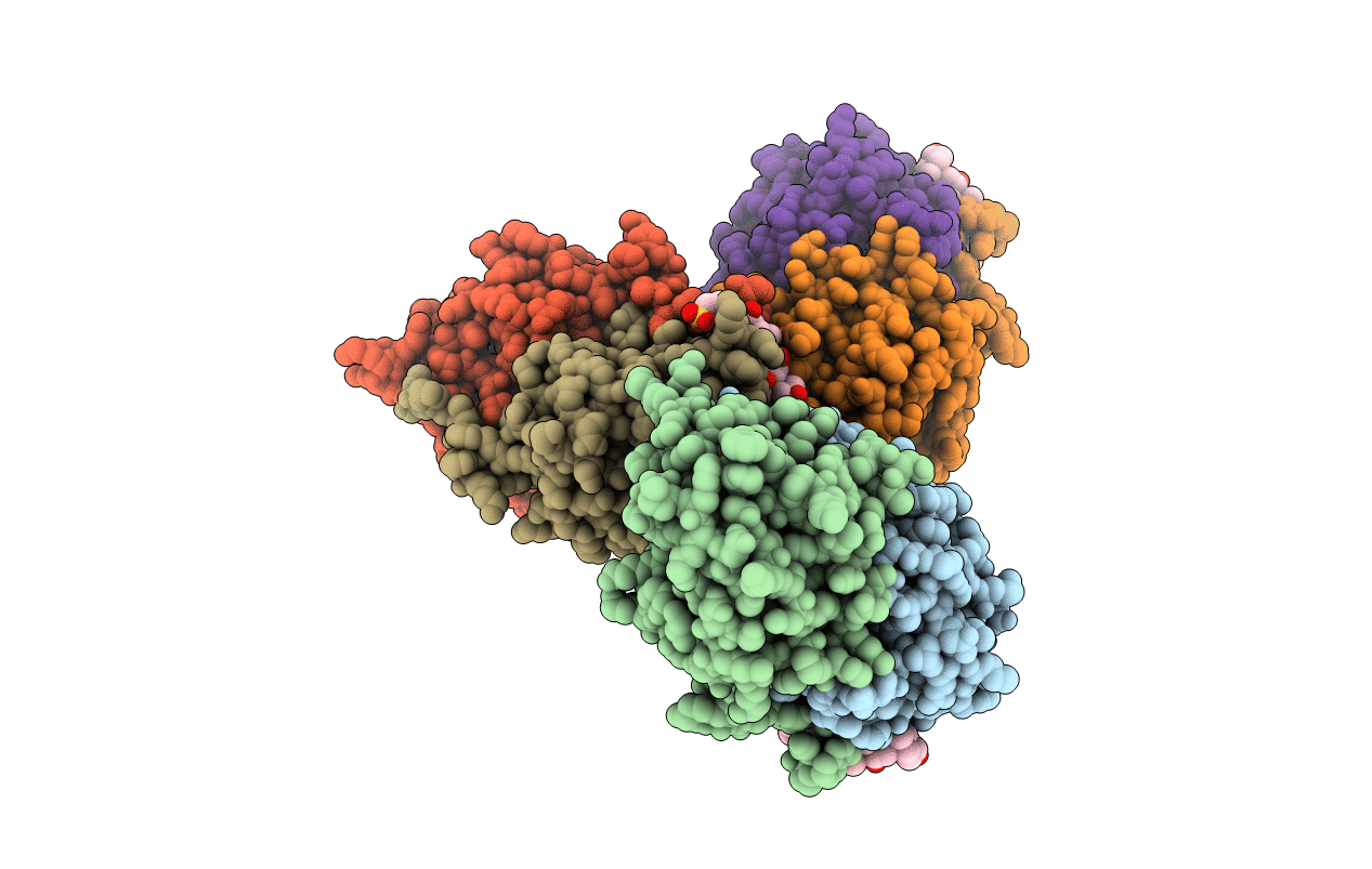 4XCS image