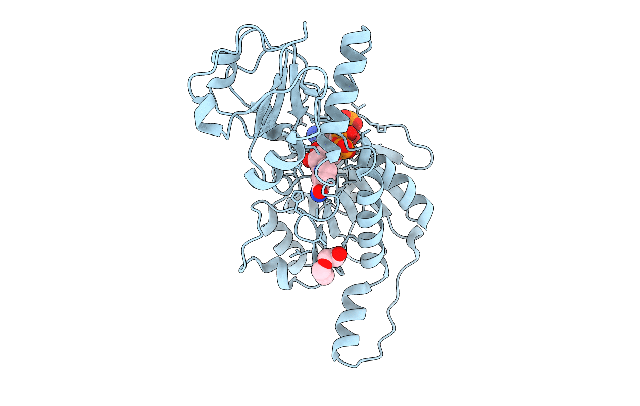 4XCV image