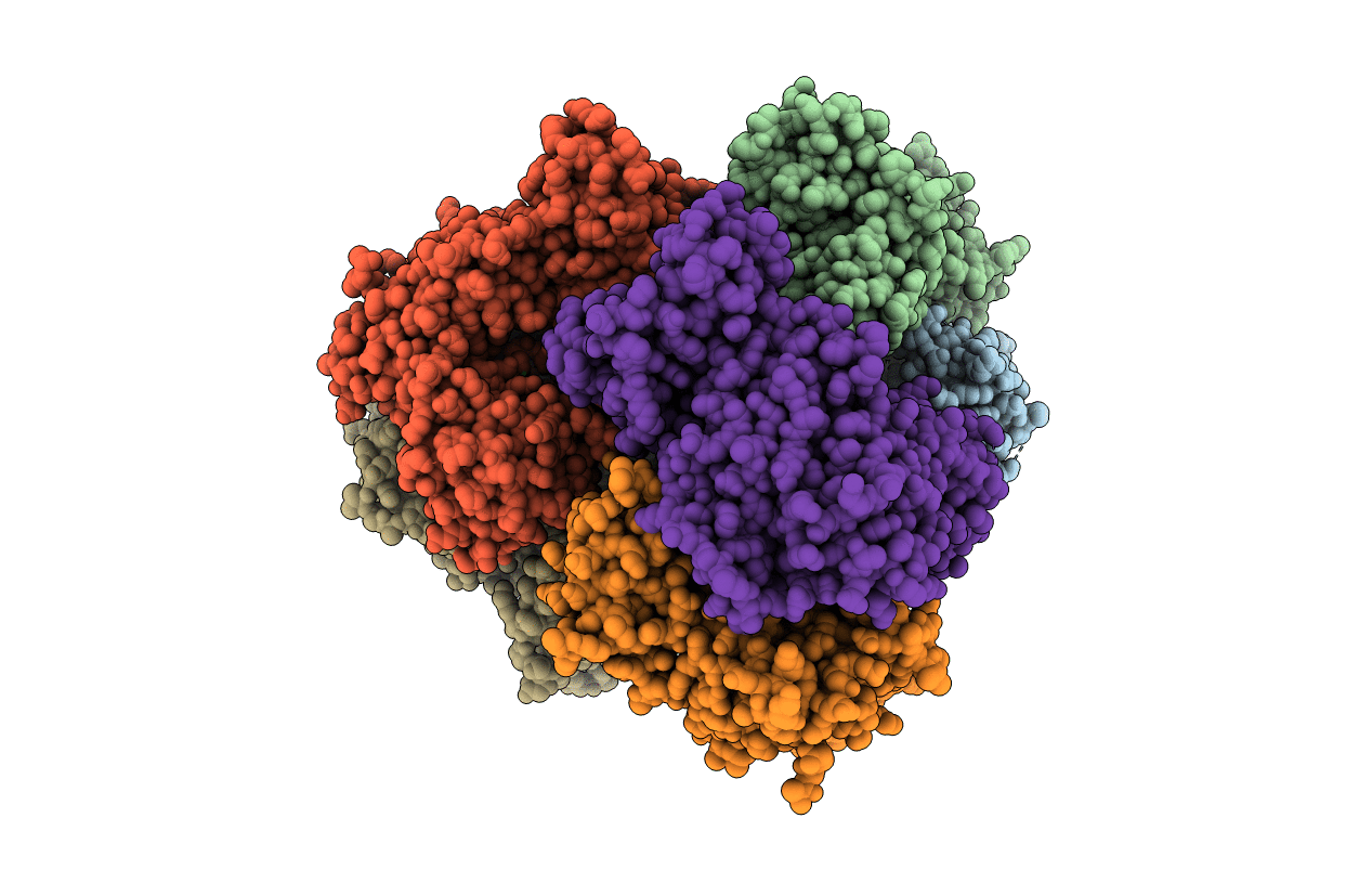 4XDS image