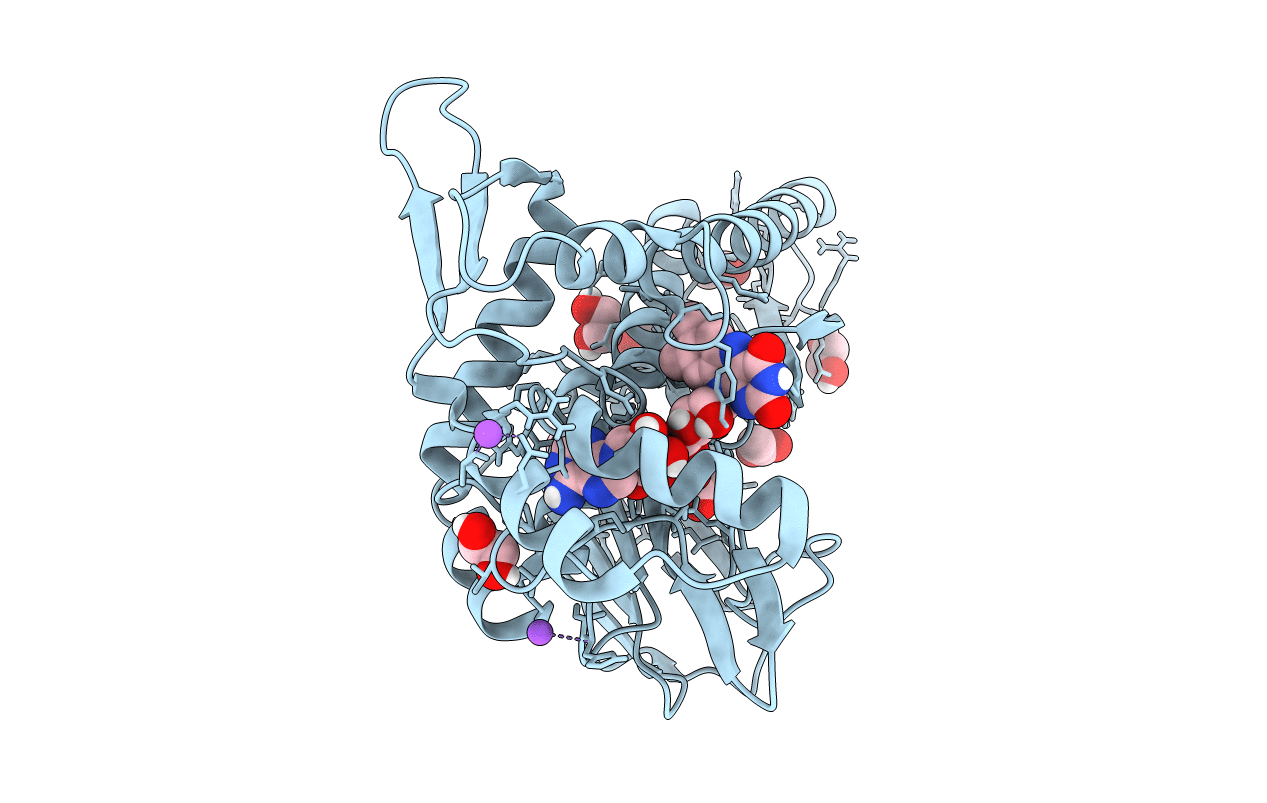 4XDT image