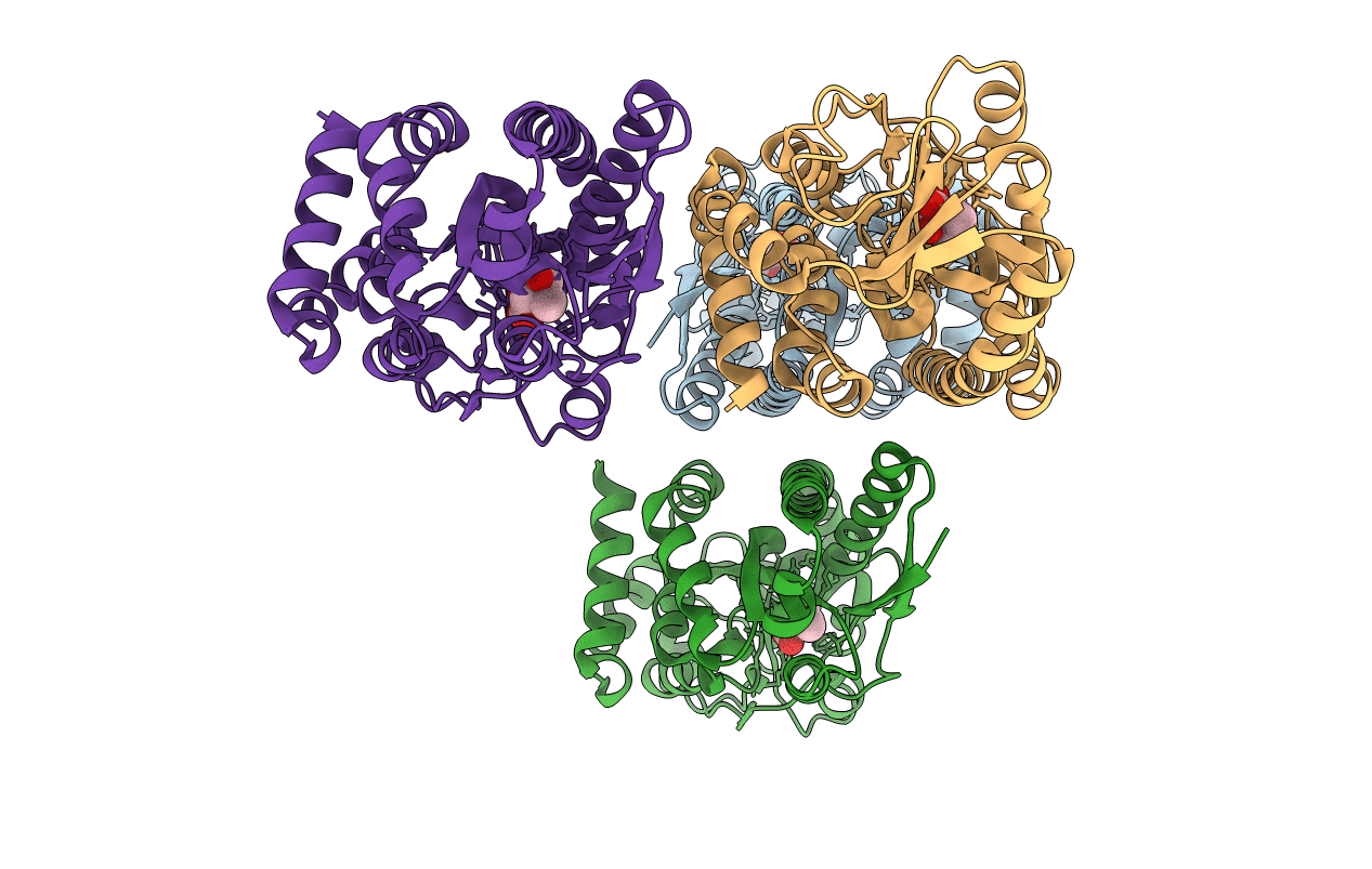 4XEQ image