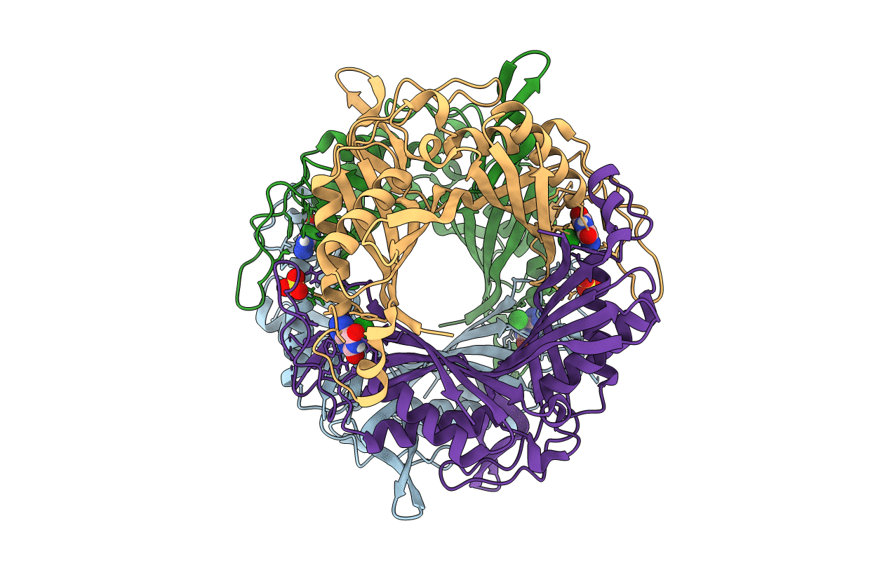 4XFP image