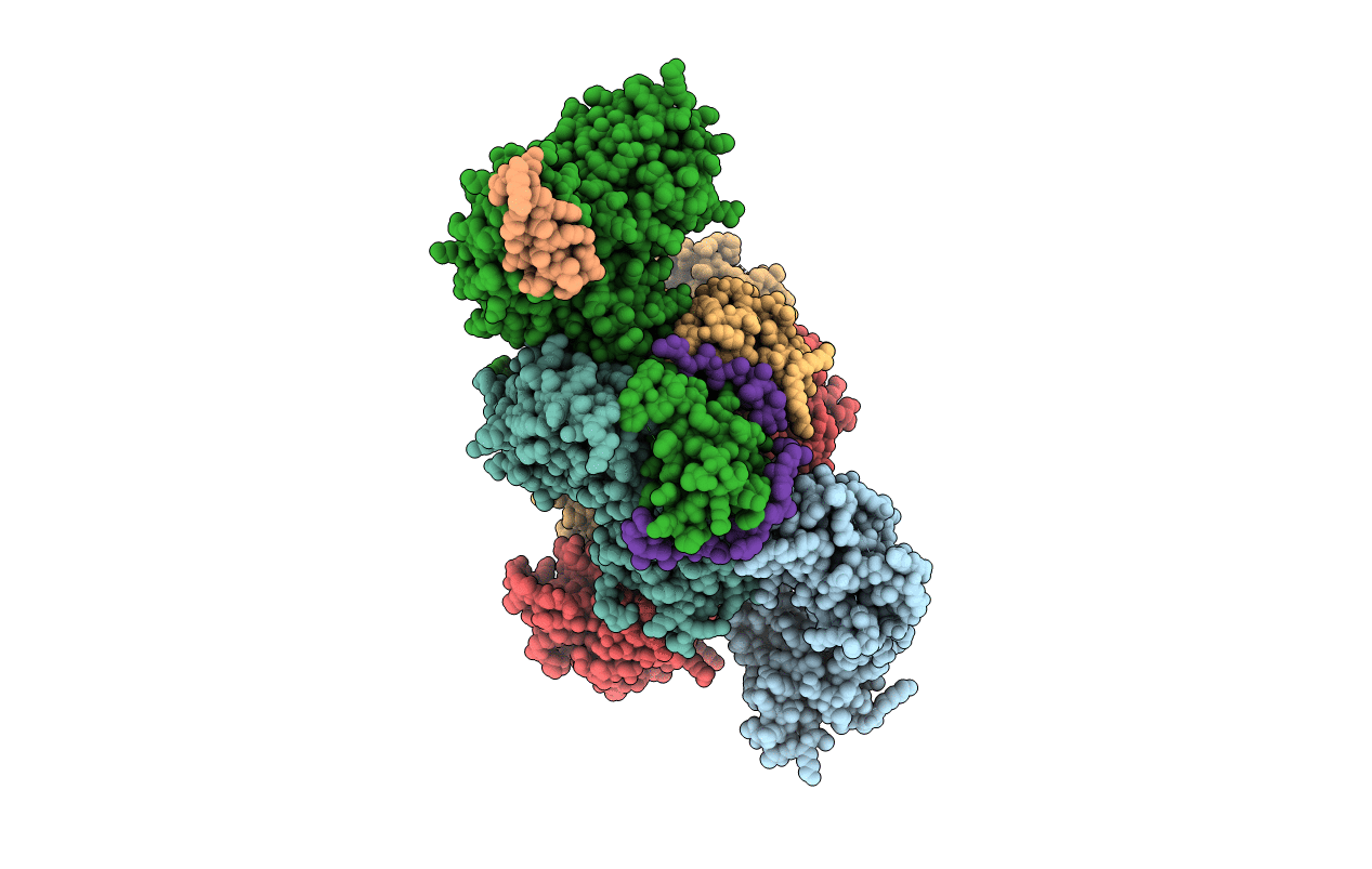4XGC image