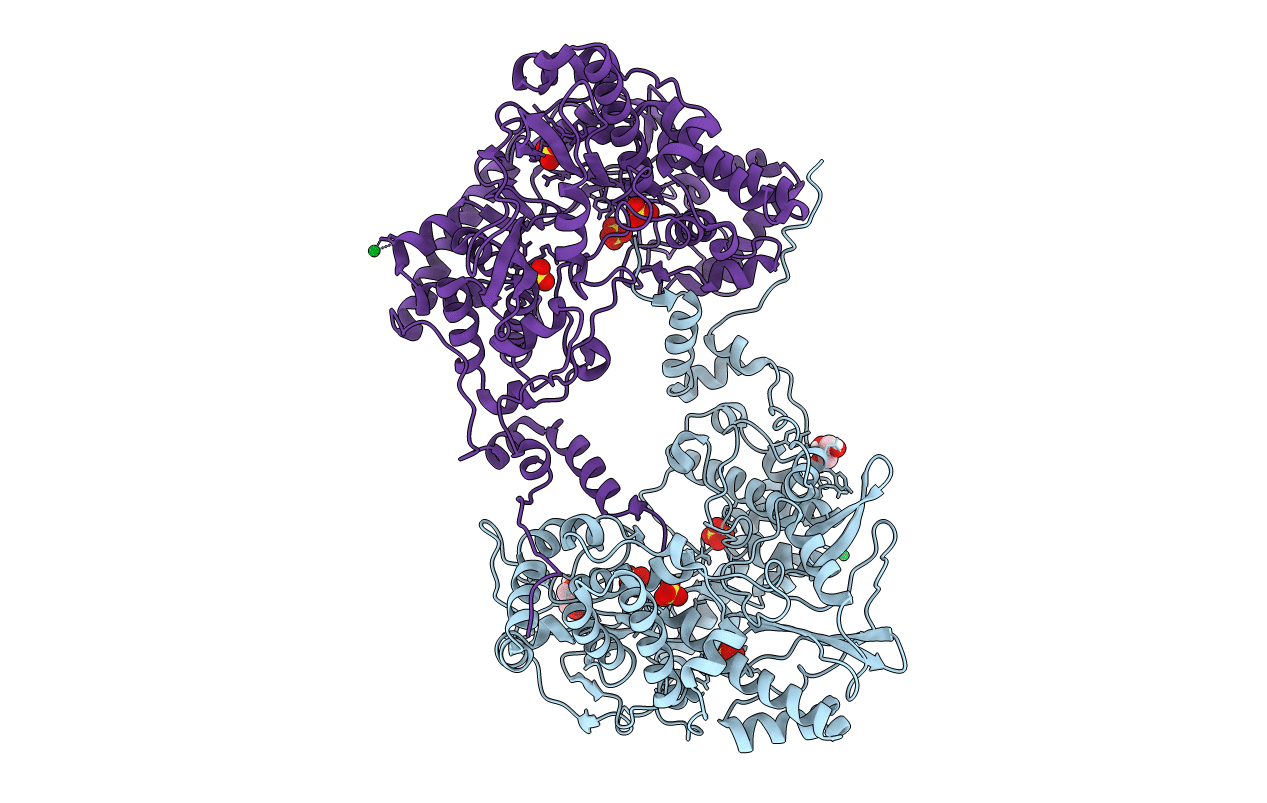 4XHA image
