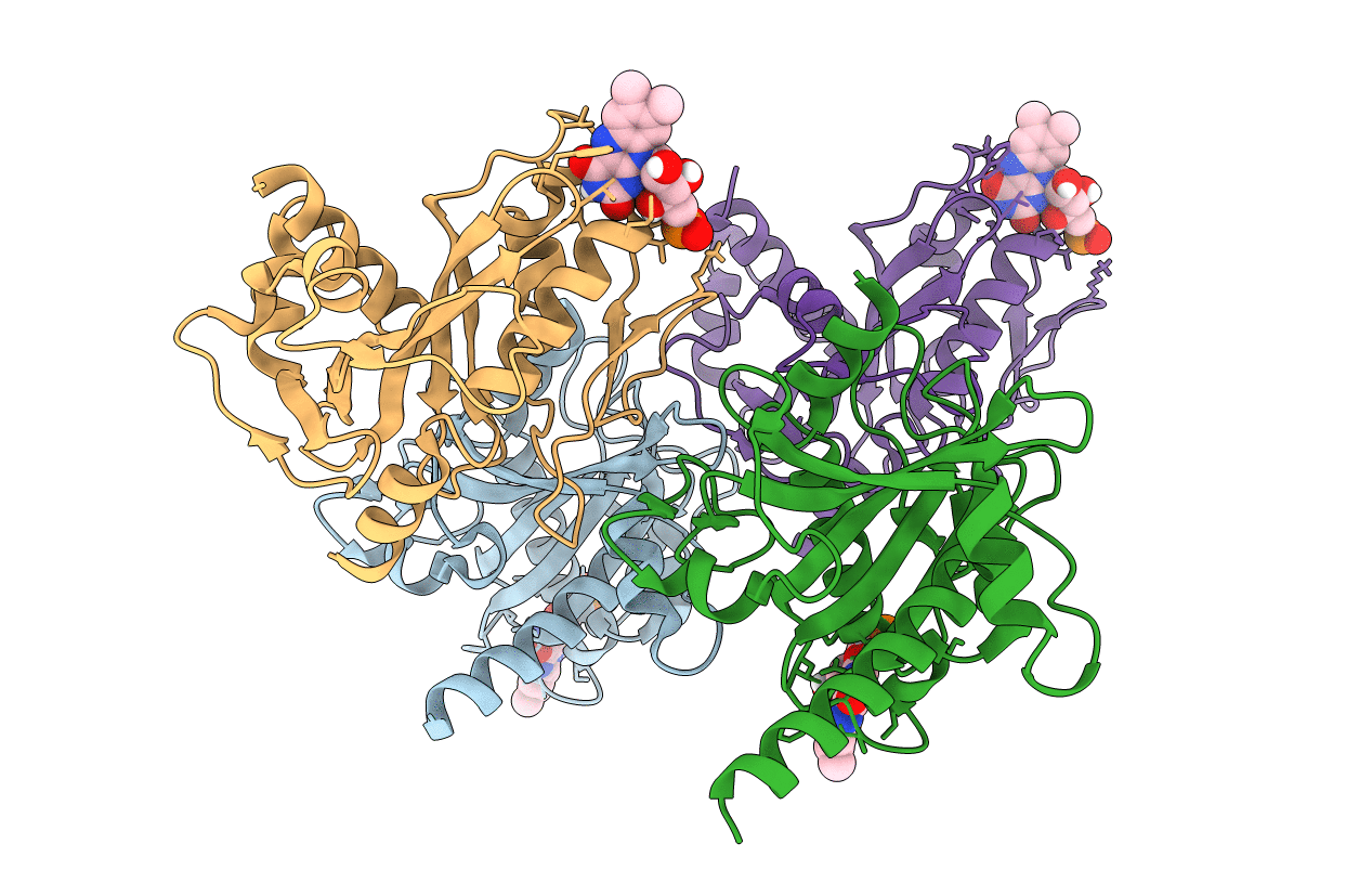 4XHF image