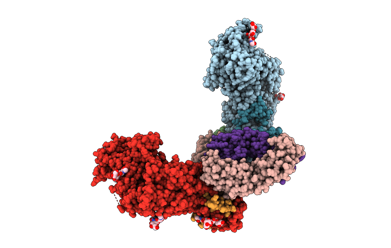 4XHJ image