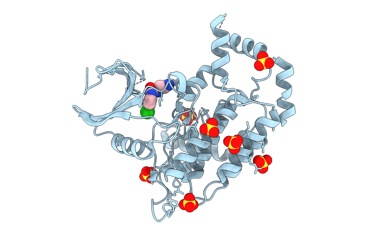 4XHL image