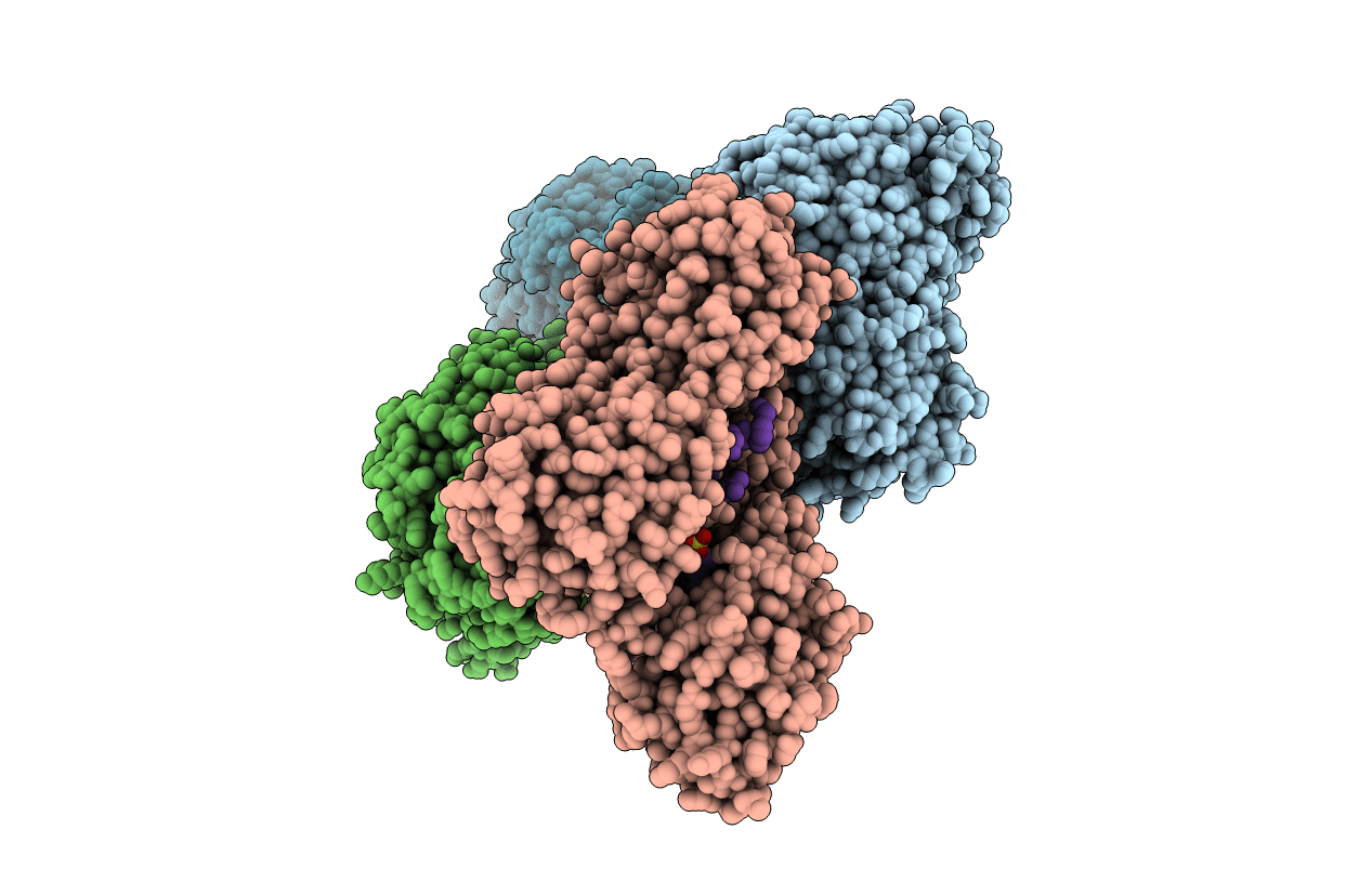 4XIF image