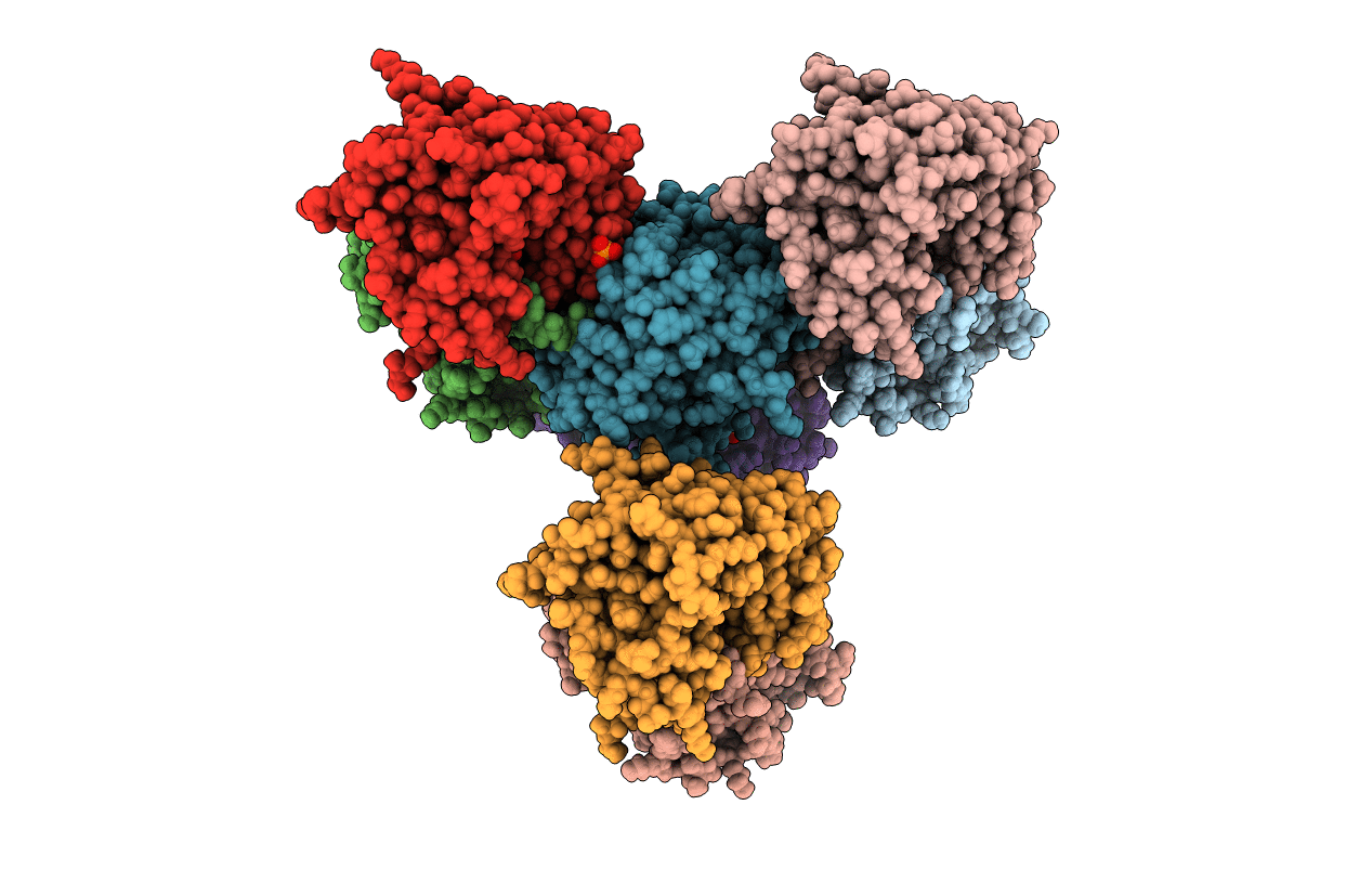 4XIX image