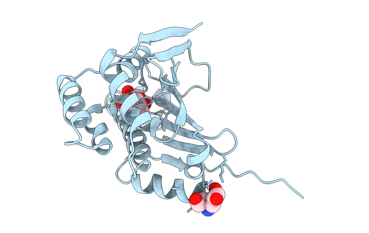 4XKA image
