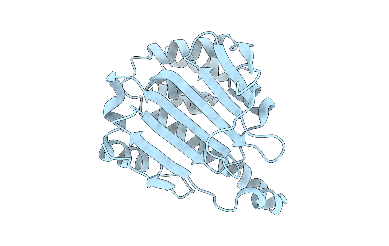 4XKK image