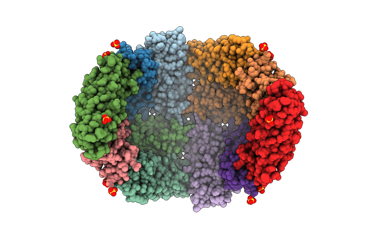4XKU image