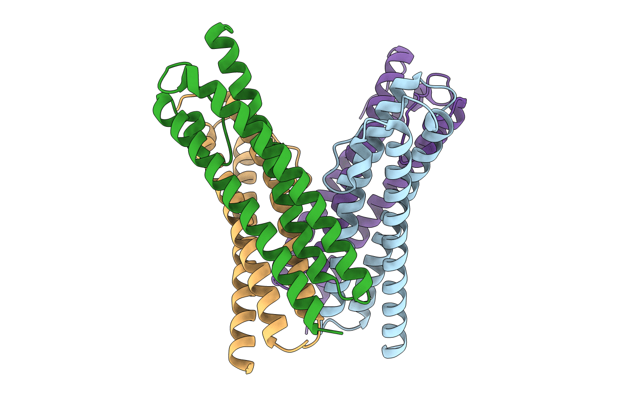 4XNG image