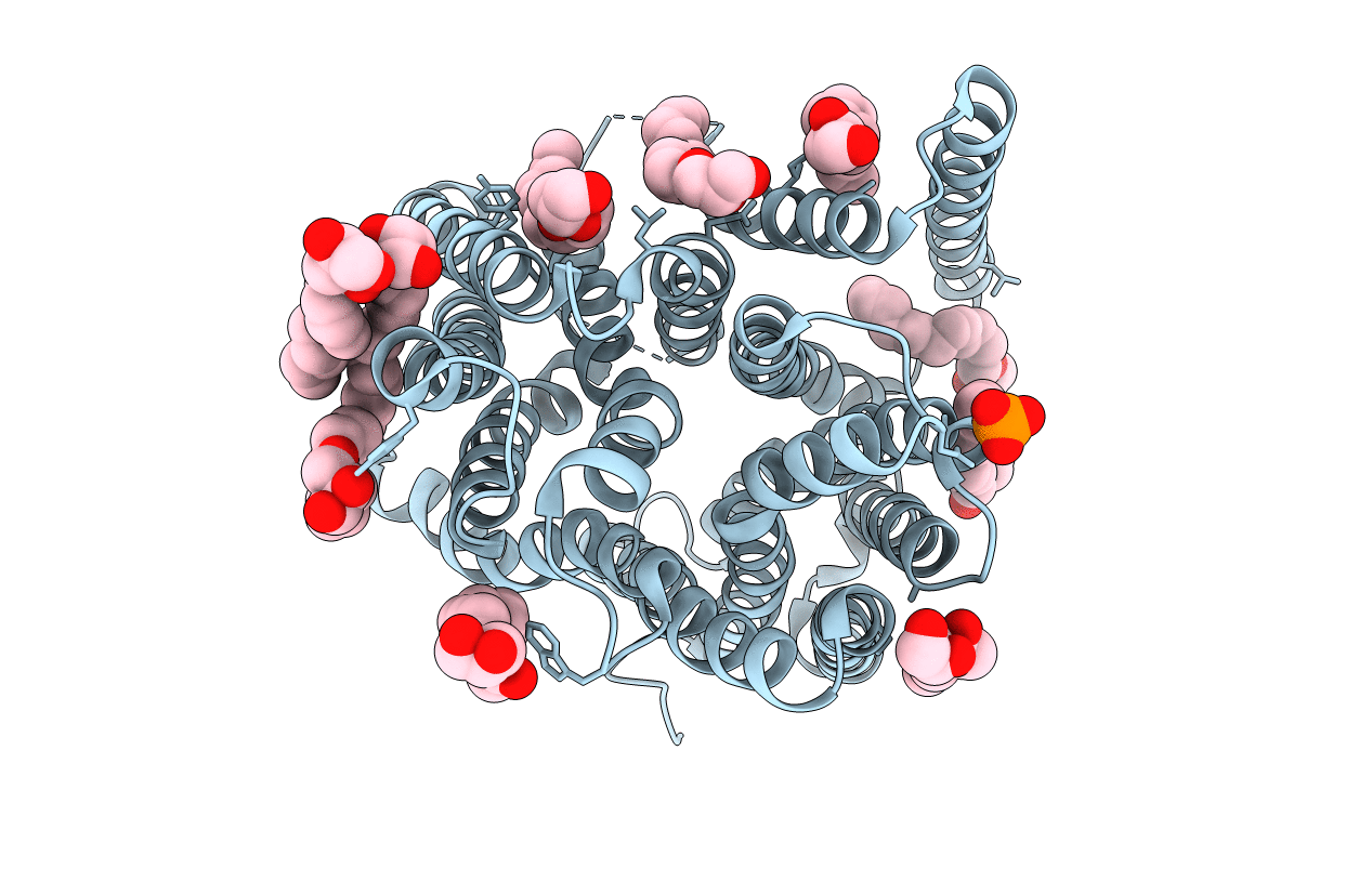 4XNI image