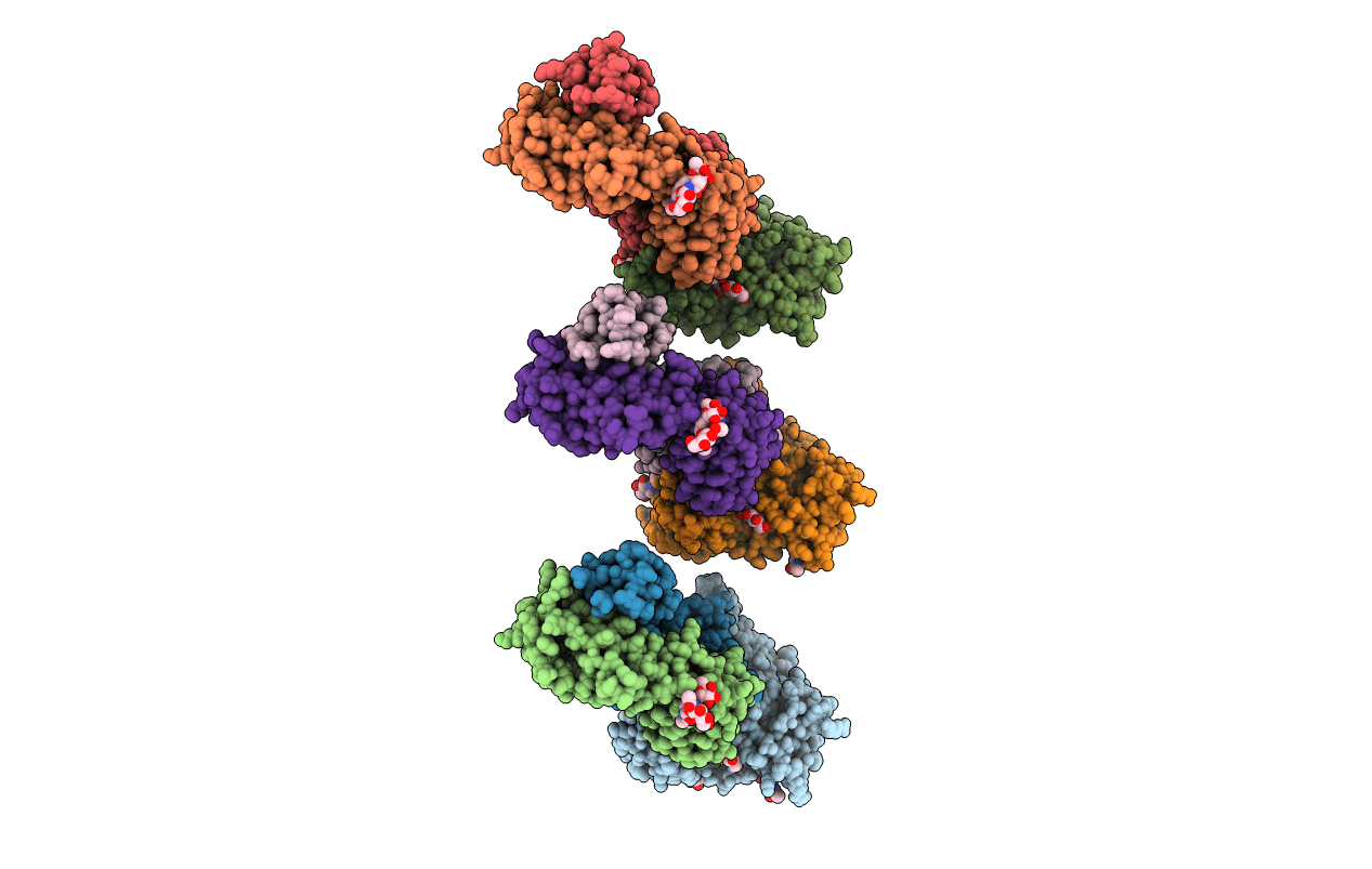 4XNZ image