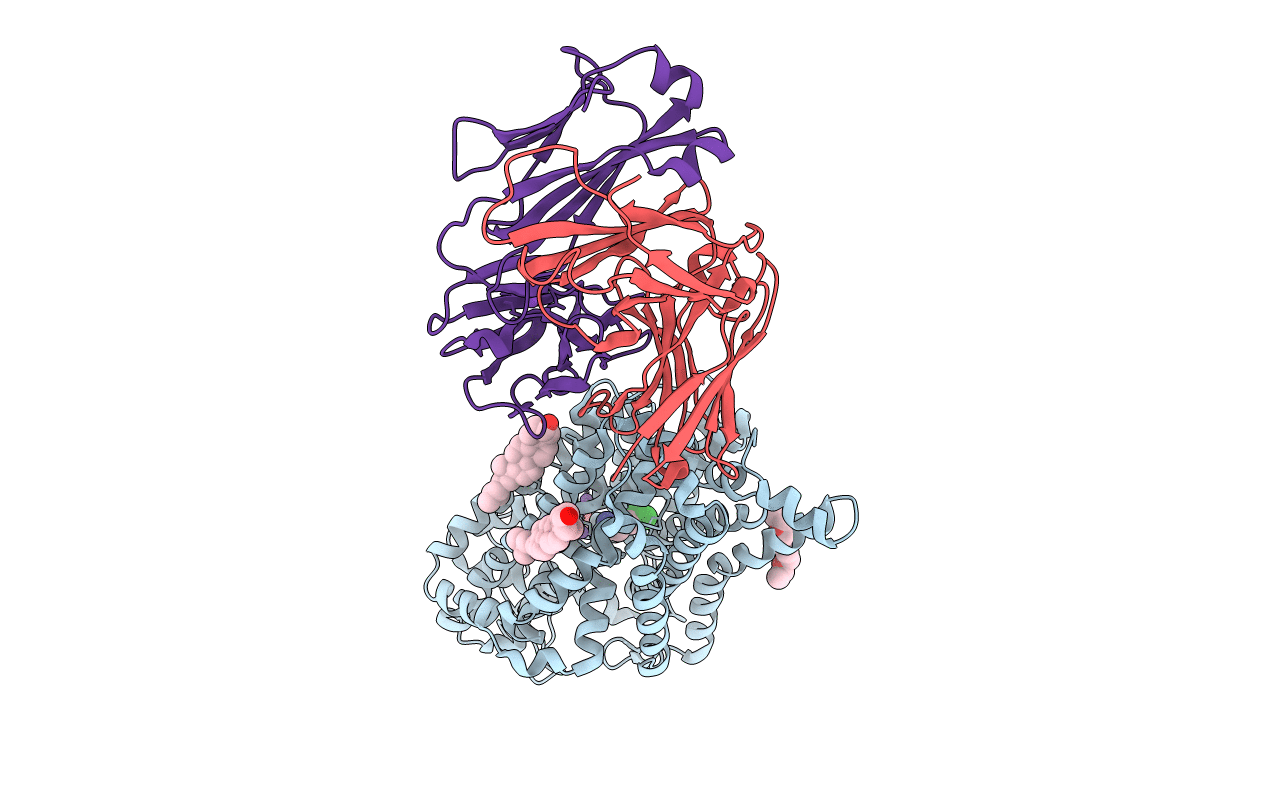 4XPH image