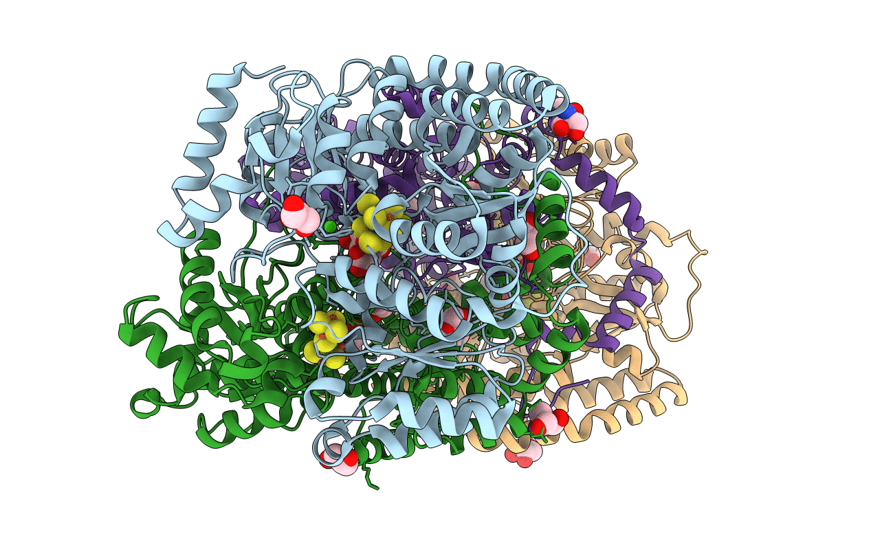 4XPI image