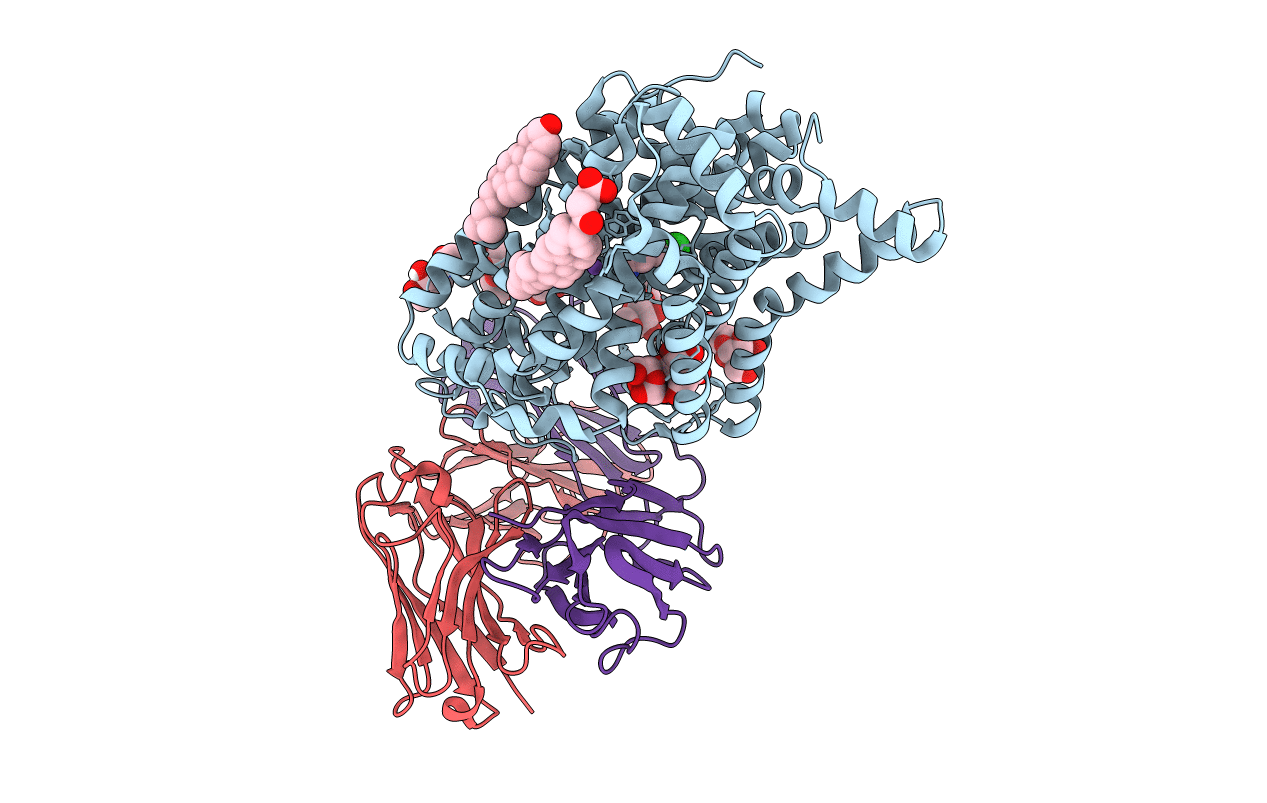4XPT image