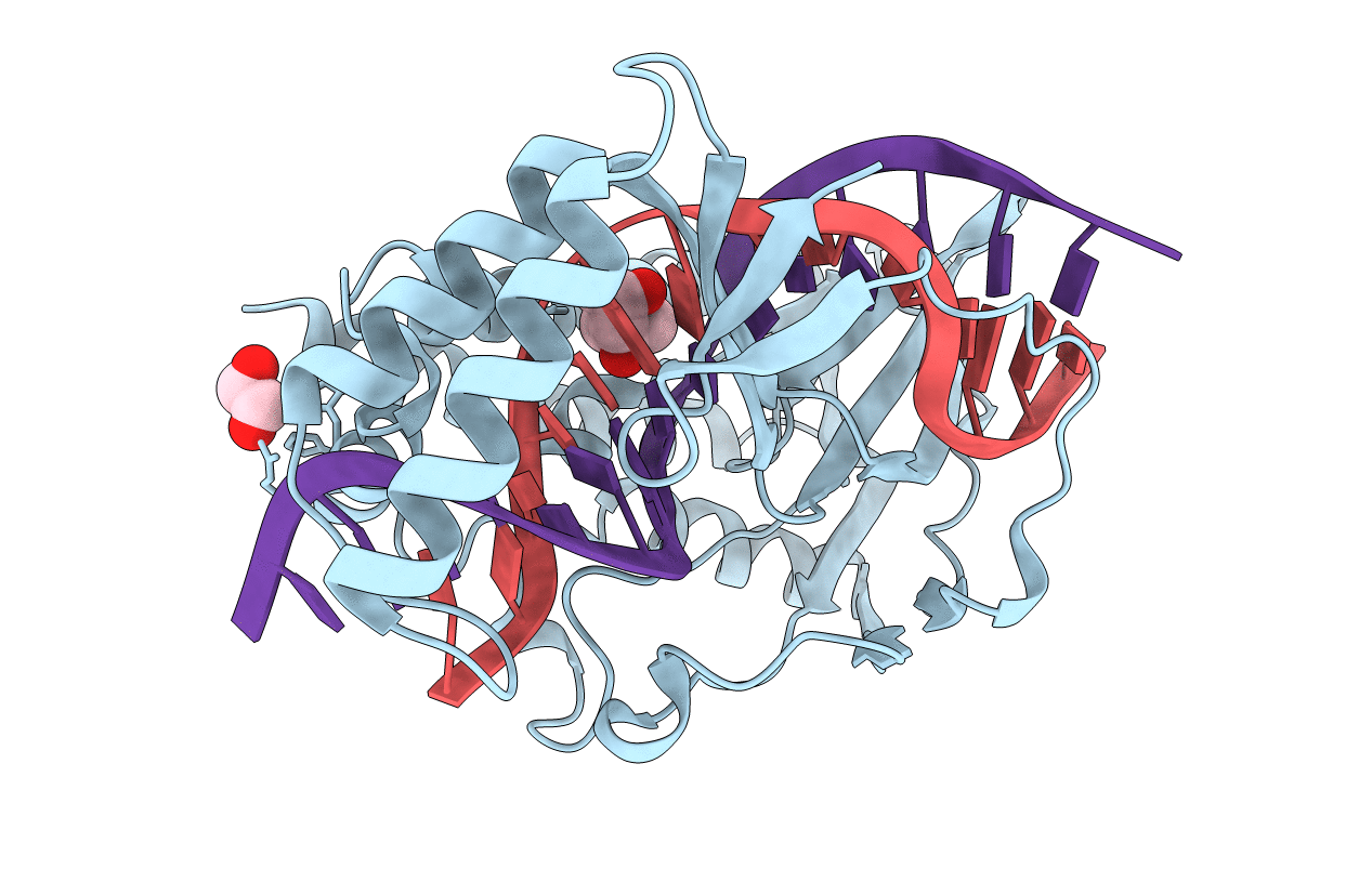 4XR2 image