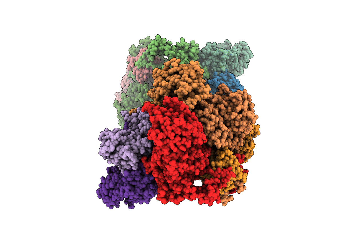 4XR7 image