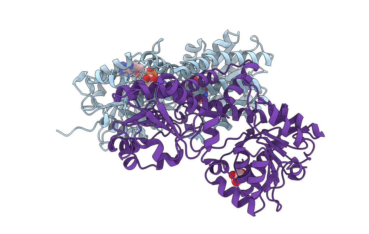 4XR9 image