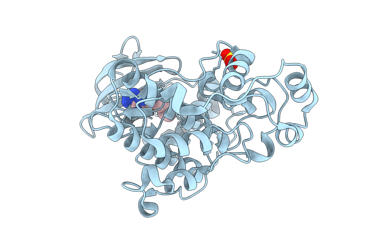 4XRJ image