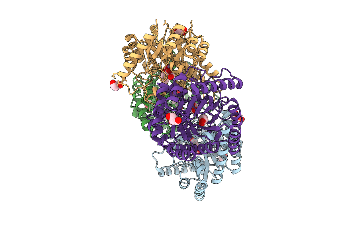 4XSL image