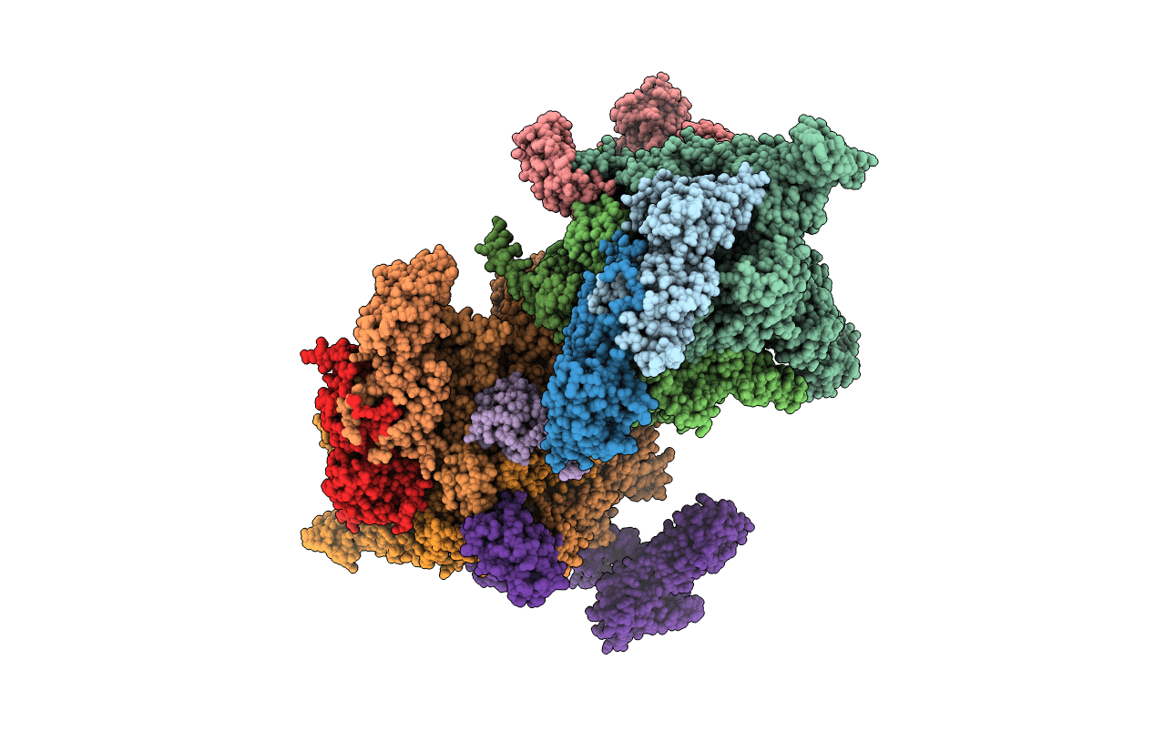 4XSX image