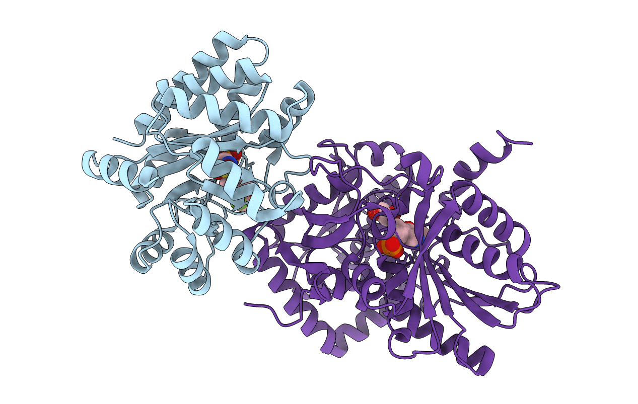 4XUG image